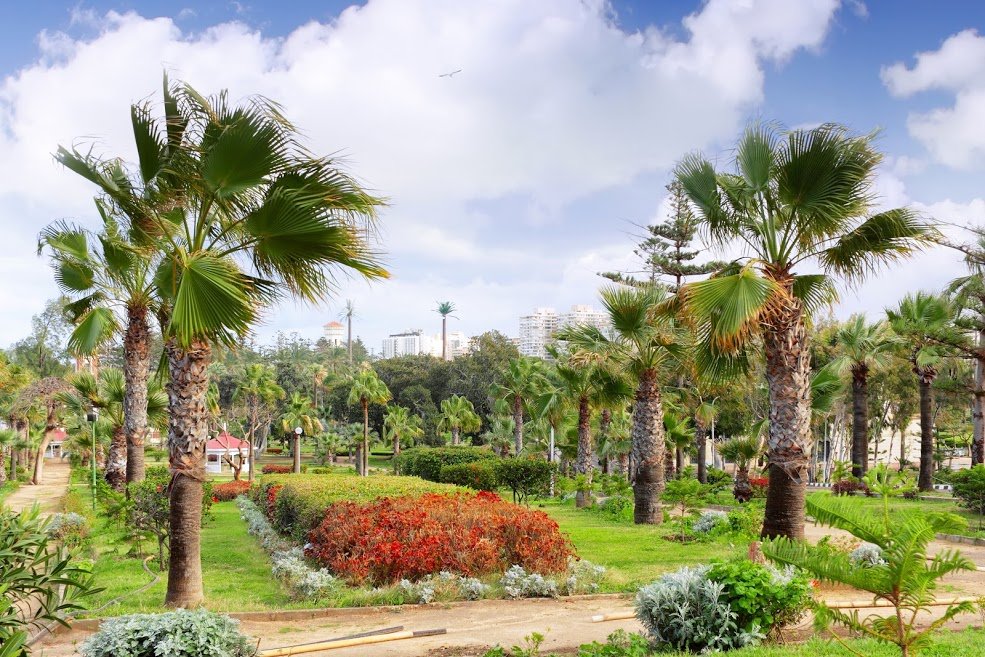 المنتزة